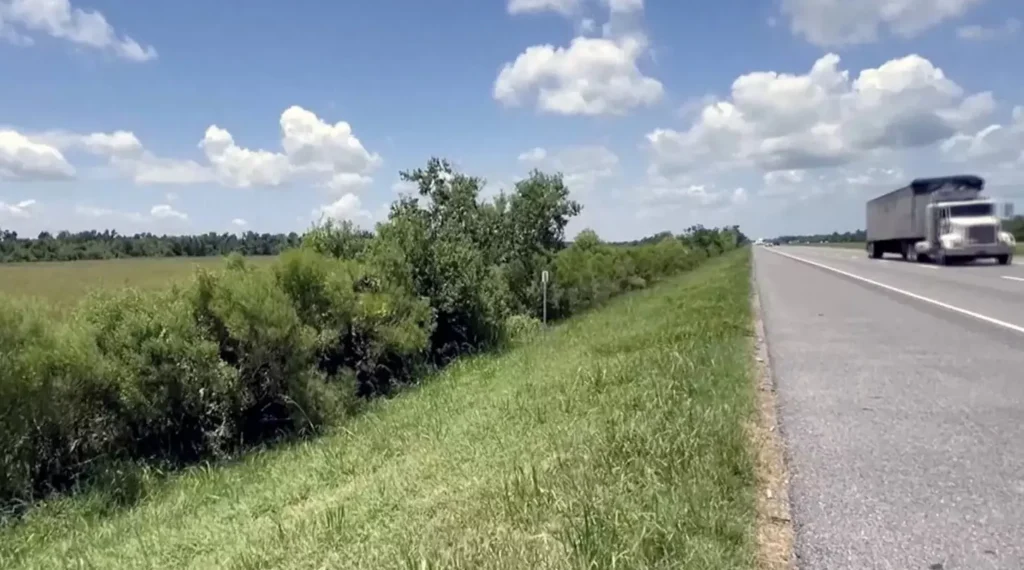 Un bébé miraculé survit seul pendant deux jours sur le bord d&rsquo;une autoroute