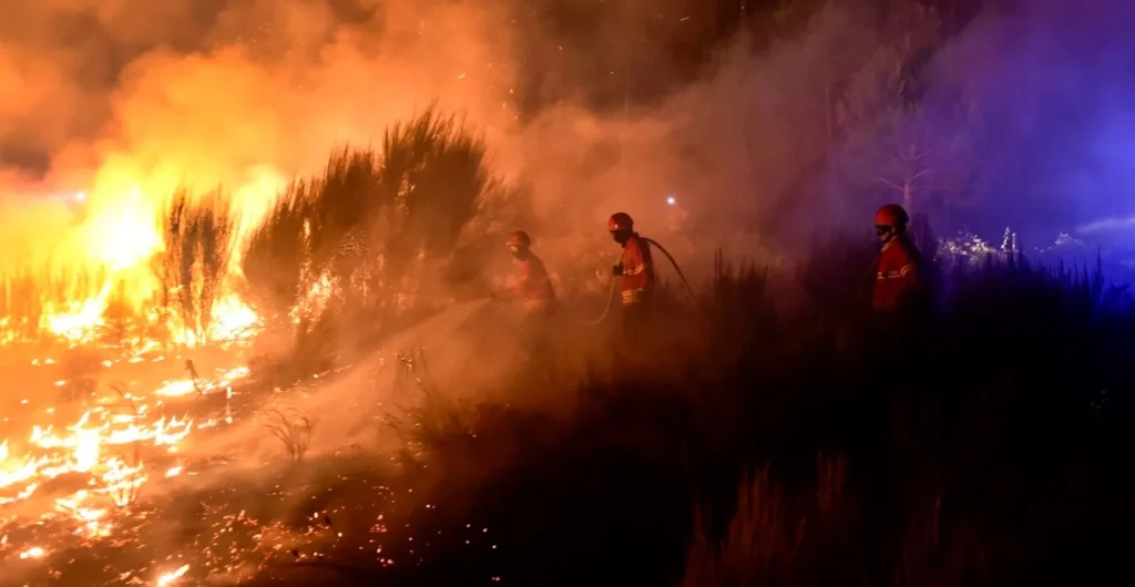 Portugal : L’évêque de Porto appelle à lutter contre les incendies