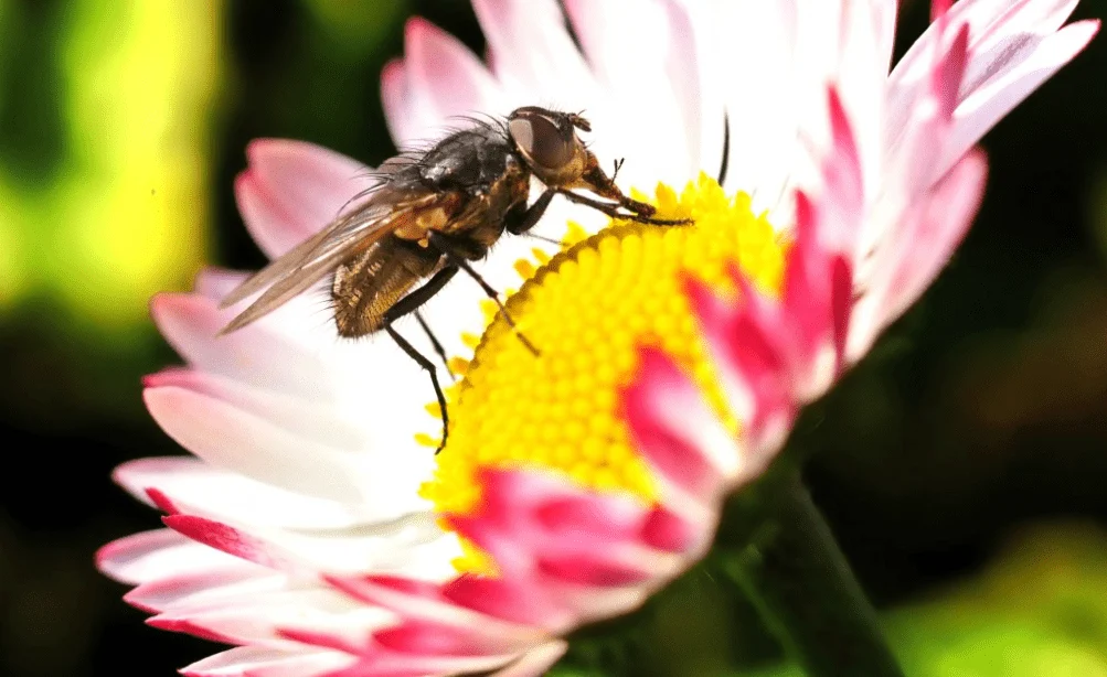 Lumière sur la loi naturelle qui est d’une importance fondamentale