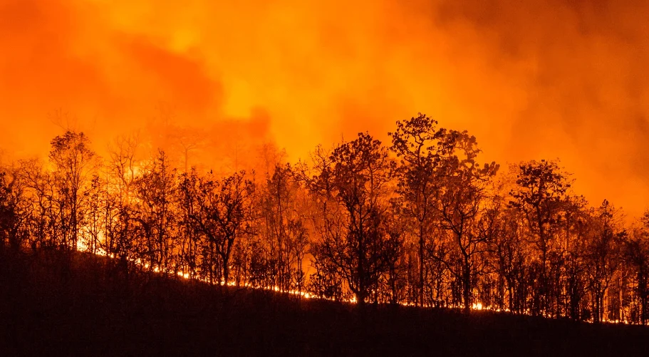 Des feux de forêt obligent les moines à quitter leur monastère
