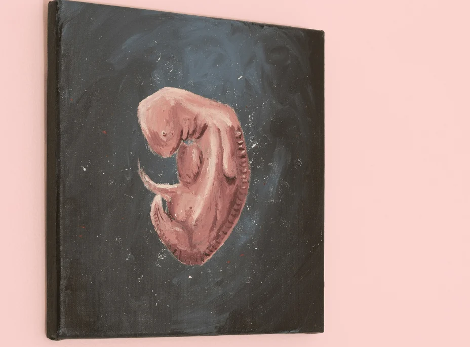 Qu&rsquo;advient-il des restes des bébés avortés ? Voici ce que nous savons